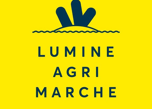 NEWoMan 横浜 LUMINE AGRI MARCHに出店します(2021年5月3日-5日(祝))