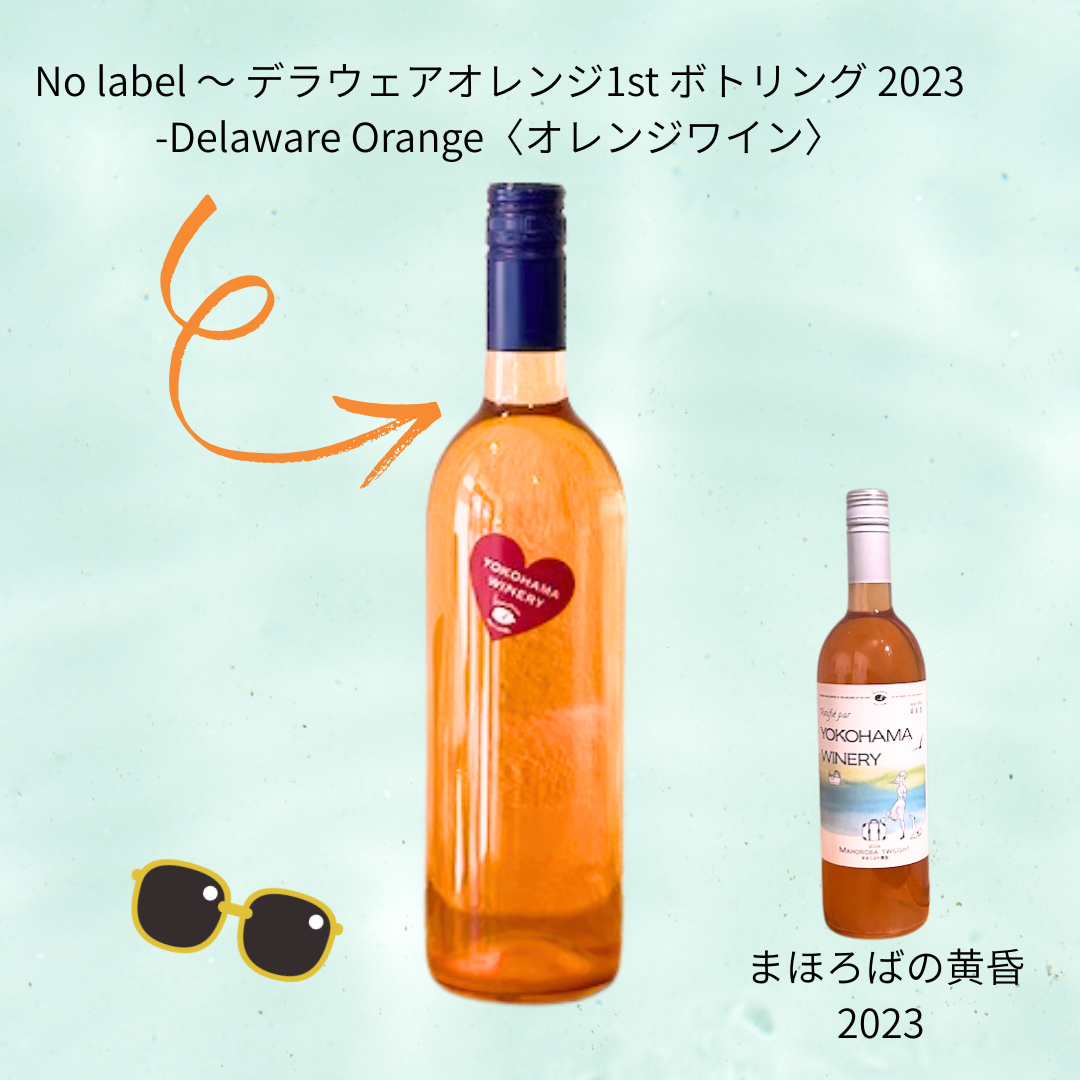 No label 〜 デラウェアオレンジ1st ボトリング 2023 -Delaware Orange〈オレンジワイン〉