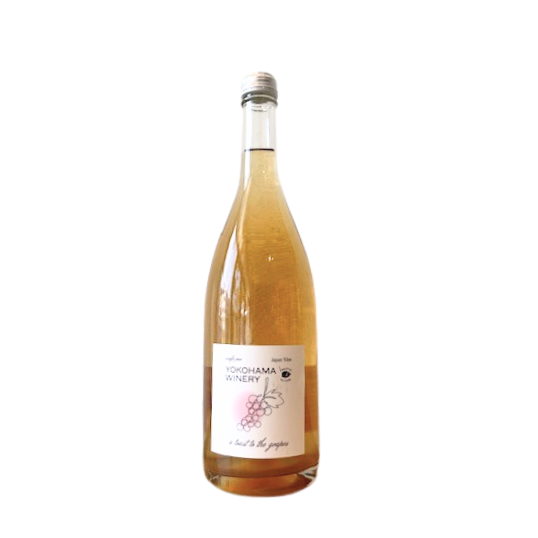 スチューベン・ロゼブラン AWA 2024 -Steuben Rose-〈泡ワイン〉