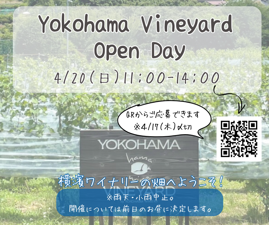 横濱ヴィンヤード　オープンデー(4/20日曜日）