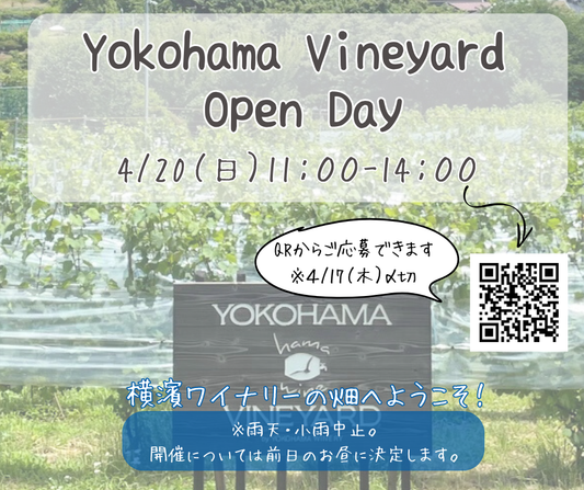 横濱ヴィンヤード　オープンデー(4/20日曜日）