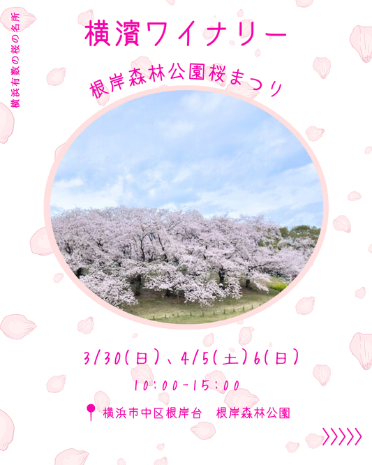 4/5＆6(土日）根岸森林公園マルシェに出店します