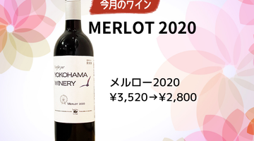 ２月のワイン　お得な20%OFFは「メルロー2020」♪