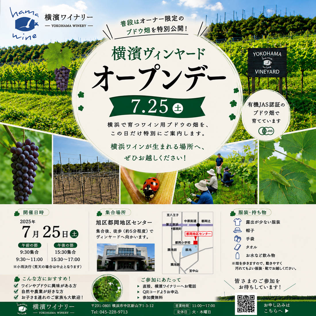 ワインビジネス : ブドウ畑から食卓までつなぐグローバル戦略 横濱ヴィンヤード オープンデー開催！(7/25 土） – 横濱ワイナリー