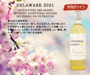 ３月のワイン　お得な20%OFFは「デラウェア2021」