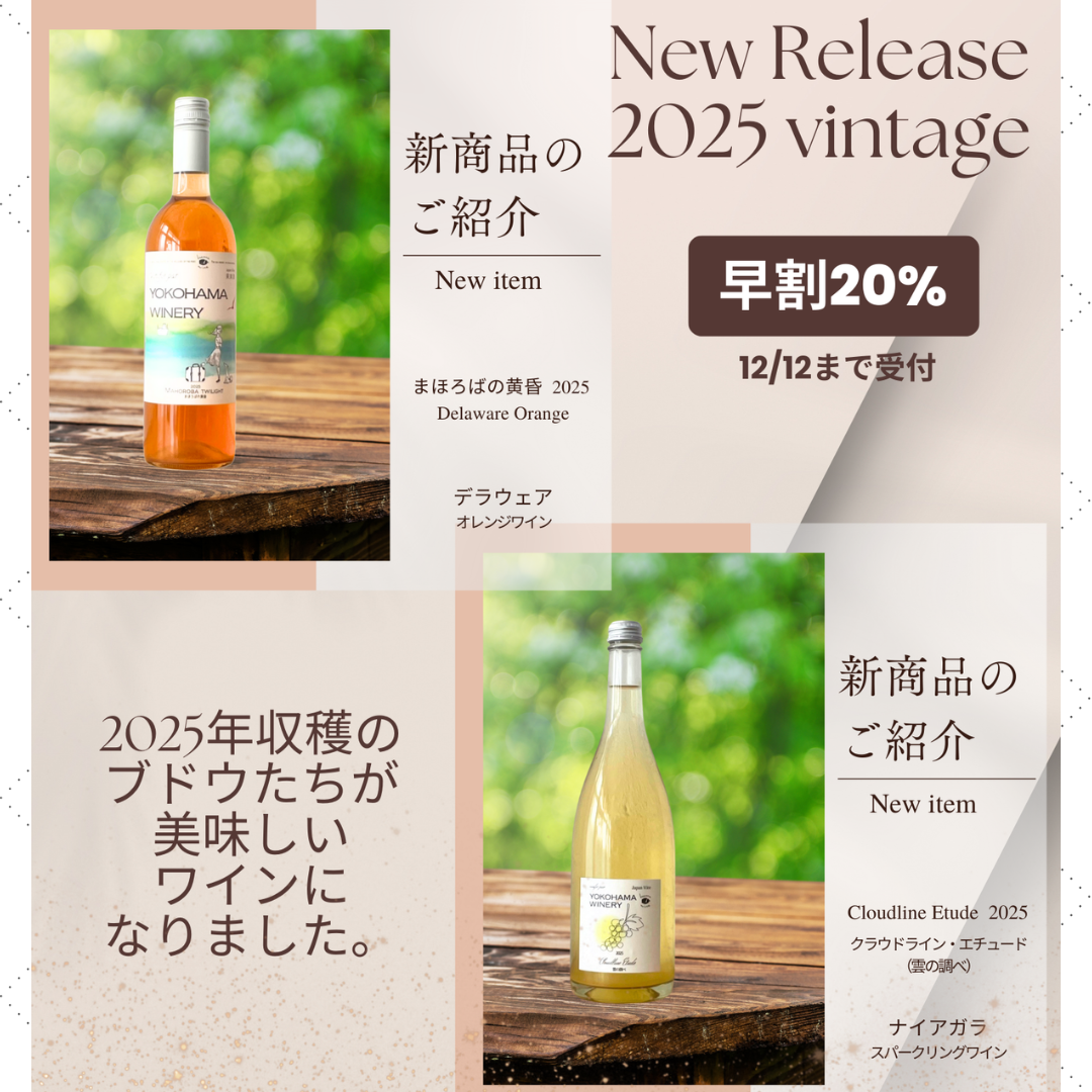 新商品リリースのお知らせ