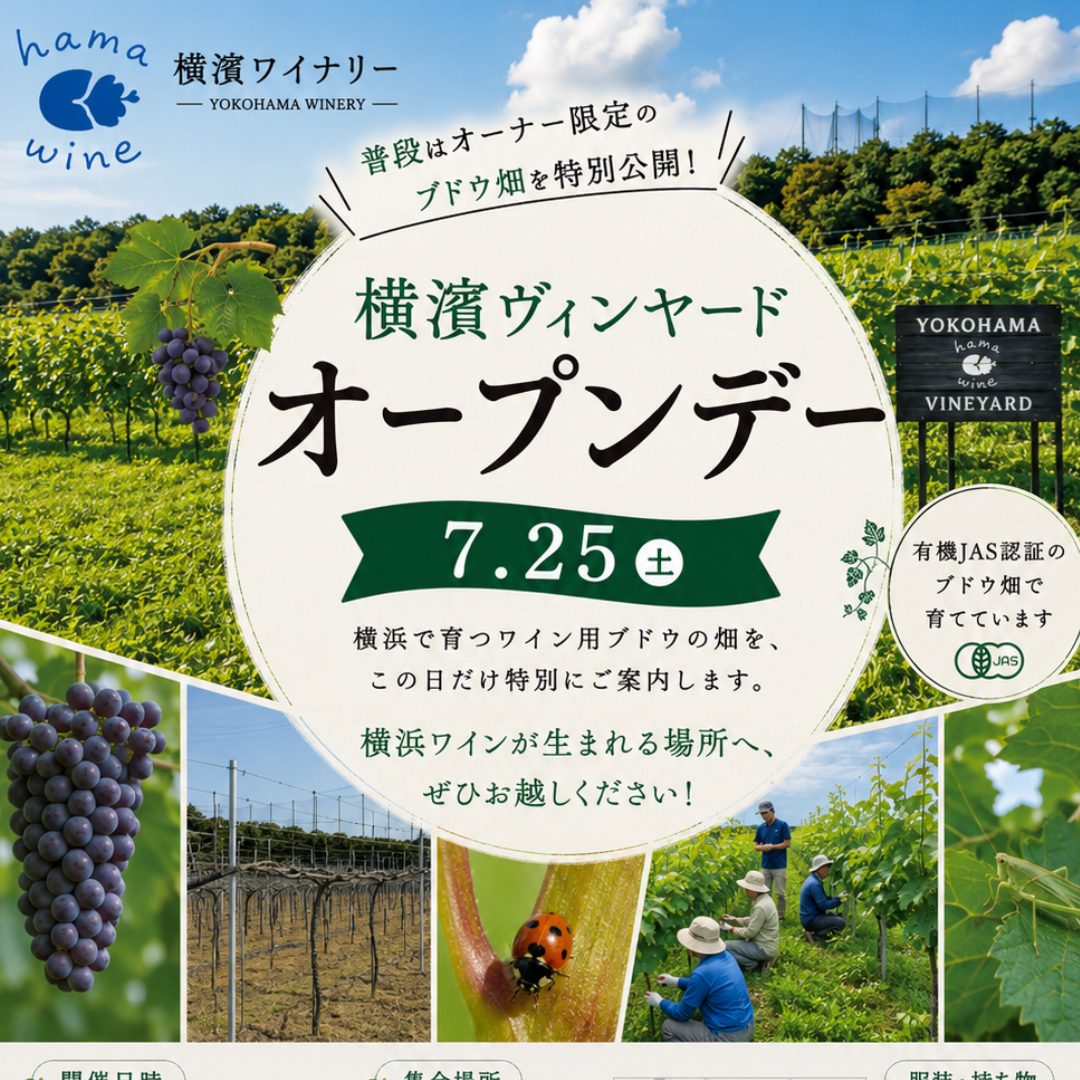 横濱ヴィンヤード オープンデー開催！(7/25 土）
