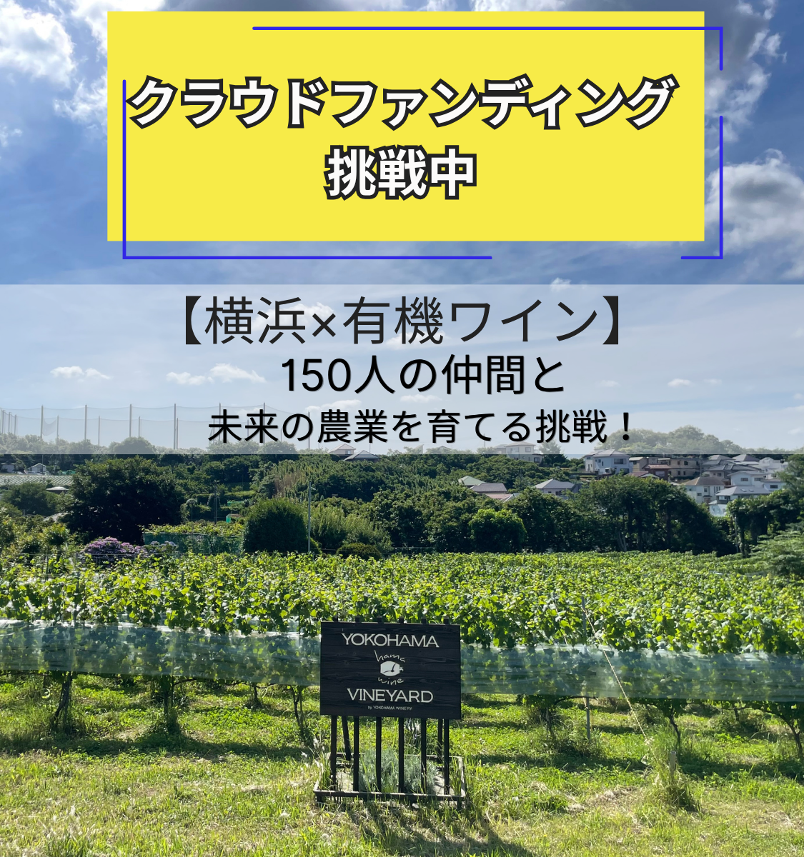 クラウドファンディング挑戦中！【横浜×有機ワイン】150人の仲間と未来の農業を育てる挑戦！