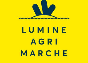 NEWoMan 横浜 LUMINE AGRI MARCHに出店します（2021年5月3日-5日（祝））