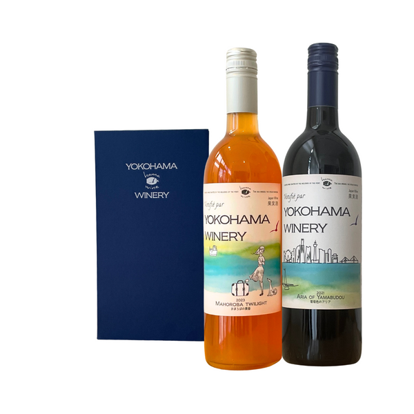Hama Wine Gift New Label "Travel" Series Orange and Red Wine Set