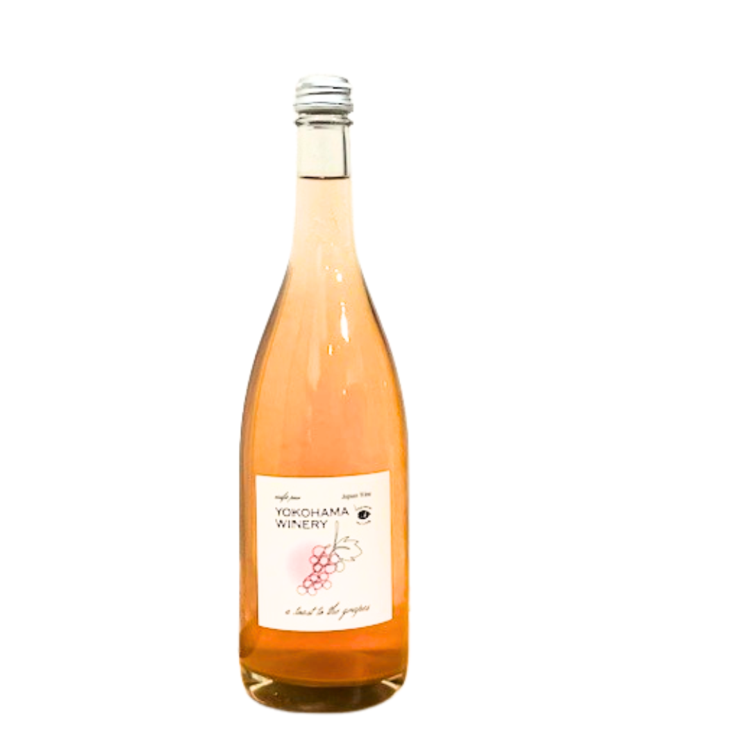 ピノ・ノワール　ロゼ  微発泡　2024-pinot noir rose-【オンライン限定10%OFFキャンペーン】